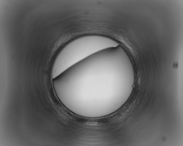 X0000100410685200806060925