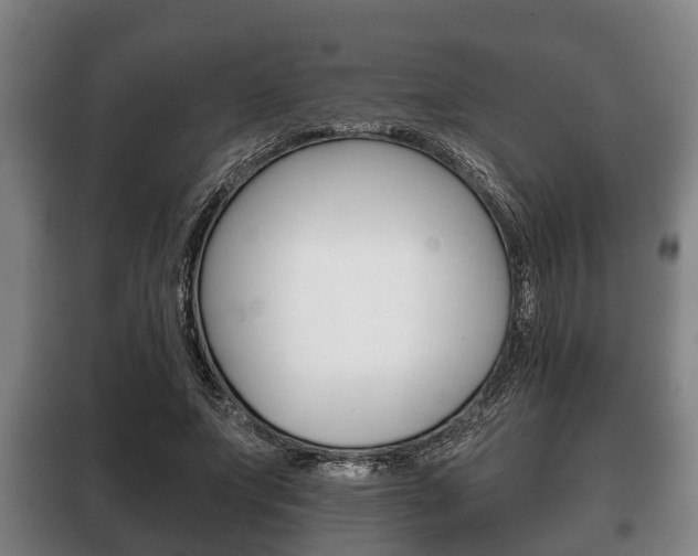 X0000100410687200806060925