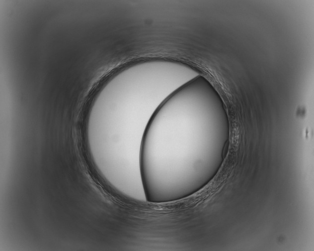 X0000100410688200806060925