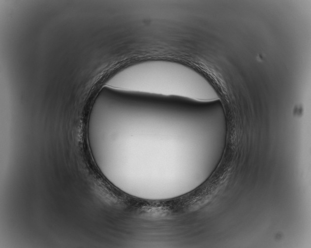 X0000100410689200806060925