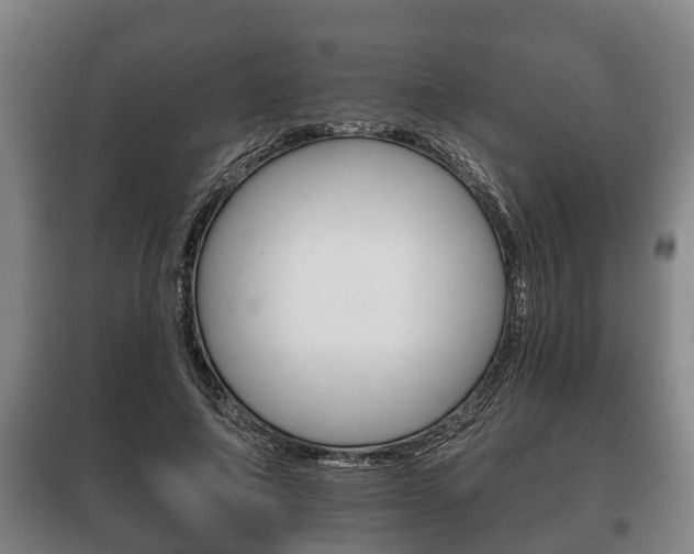 X0000100410690200806060925