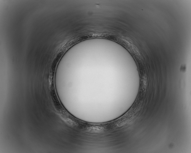 X0000100410691200806060925