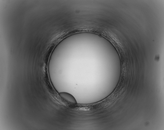 X0000100410692200806060925