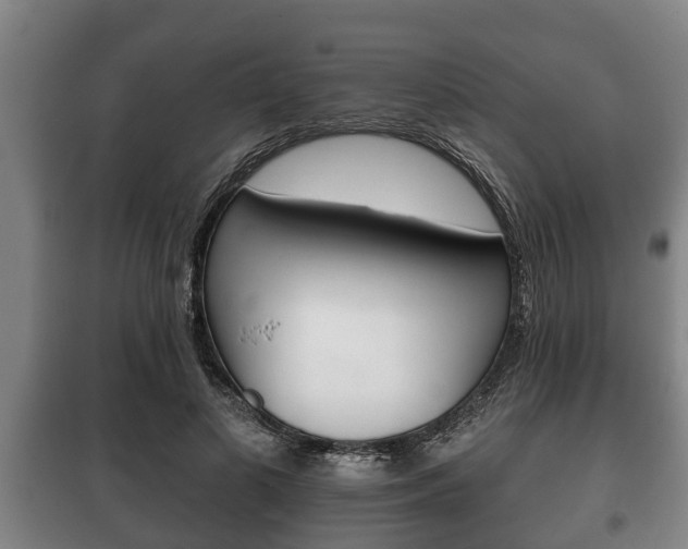 X0000100410693200806060925