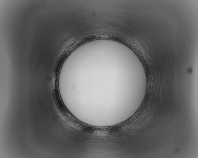 X0000100410694200806060925