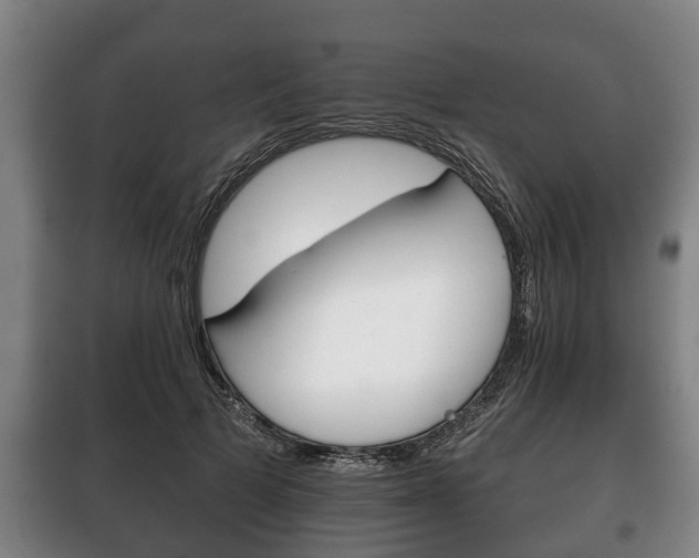 X0000100410697200806060925