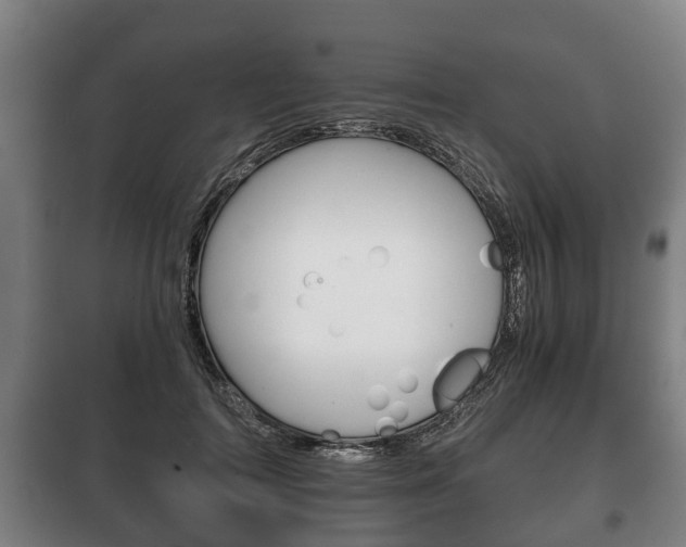 X0000100410698200806060925