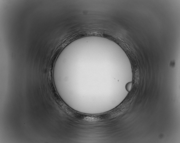 X0000100410699200806060925