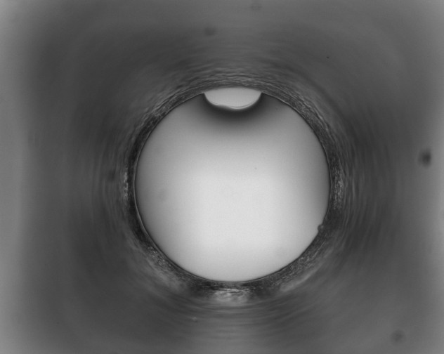 X0000100410700200806060925