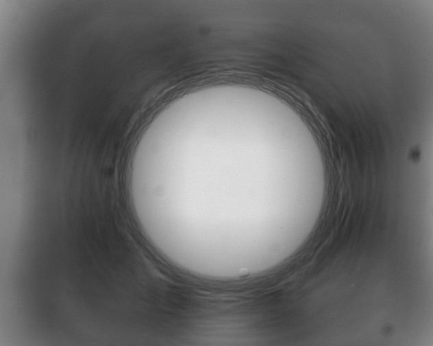 X0000100410701200806060925