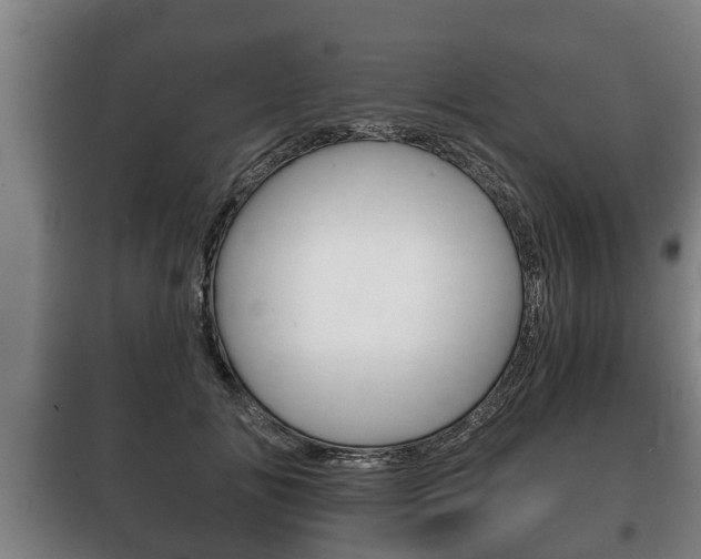 X0000100410702200806060925