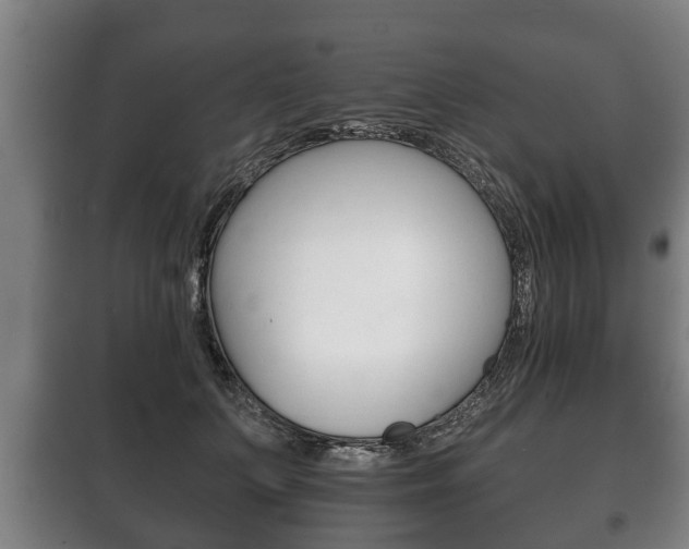 X0000100410703200806060925