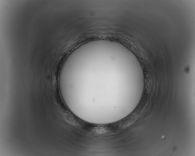 X0000100410704200806060925