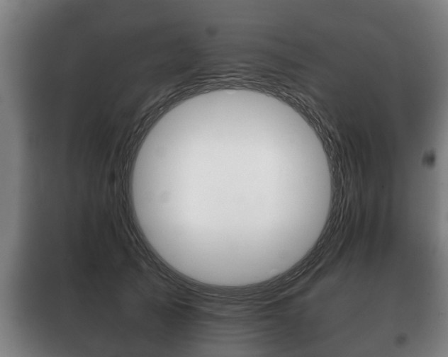 X0000100410705200806060925