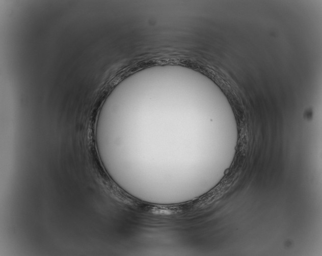 X0000100410706200806060925