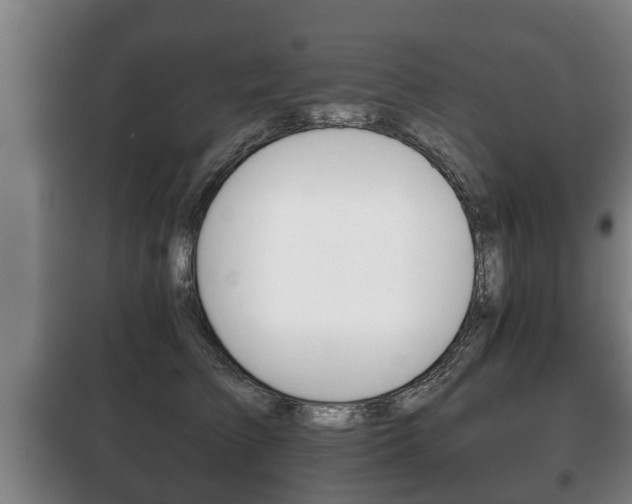 X0000100410709200806060925