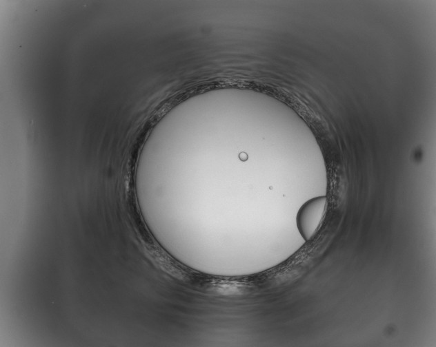 X0000100410710200806060925