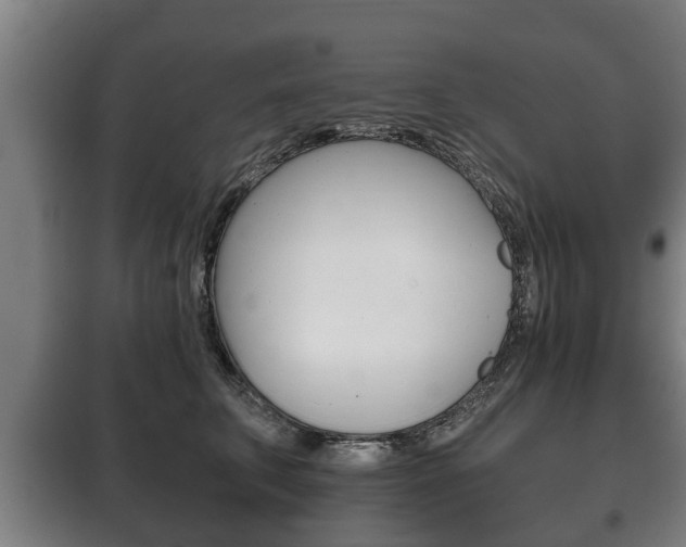 X0000100410711200806060925