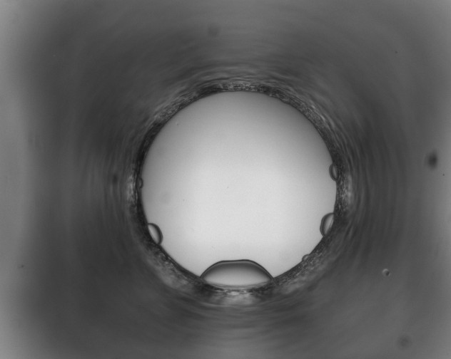 X0000100410715200806060925