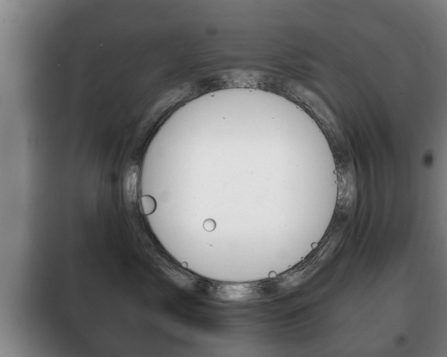 X0000100410717200806060925