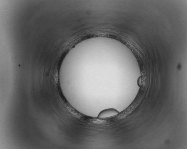 X0000100410718200806060925