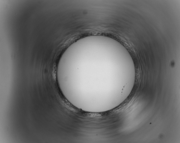 X0000100410719200806060925