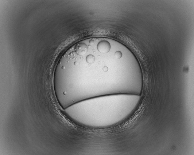 X0000100410721200806060924