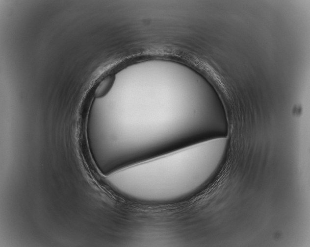 X0000100410724200806060924