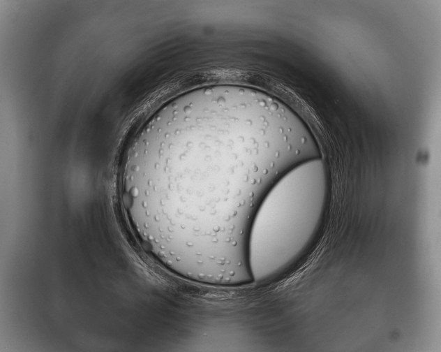 X0000100410725200806060924