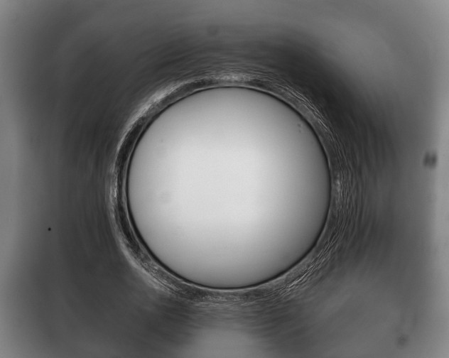 X0000100410726200806060924