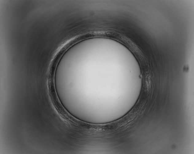 X0000100410728200806060924