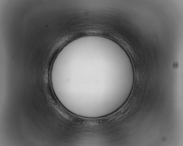 X0000100410729200806060924