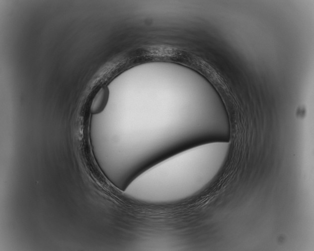 X0000100410731200806060924