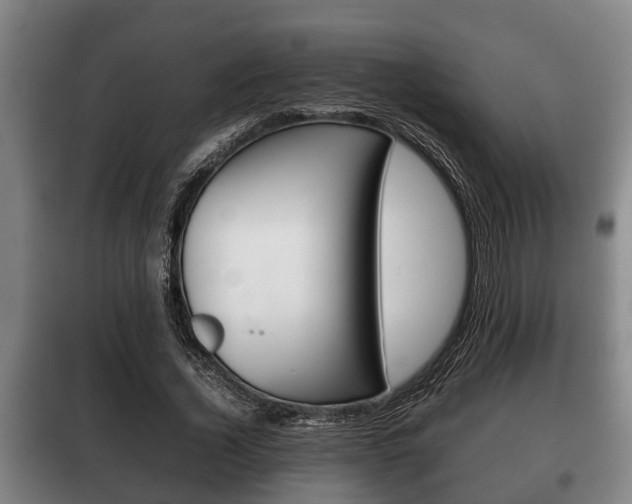 X0000100410732200806060924