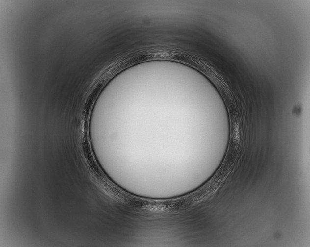 X0000100410733200806060924