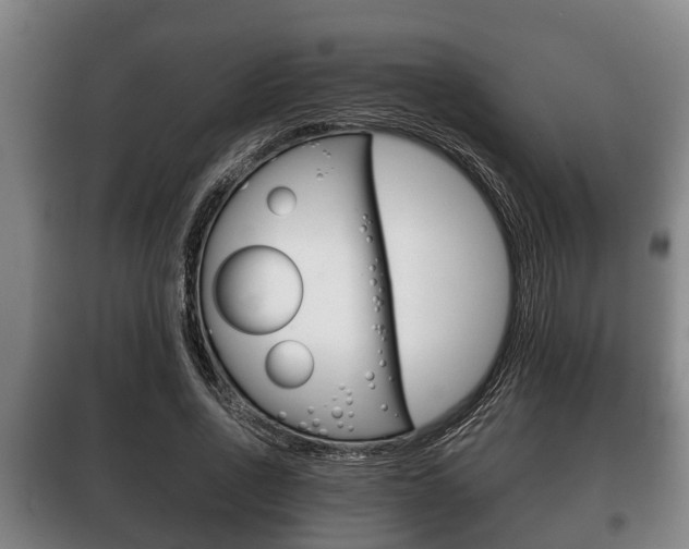 X0000100410734200806060924