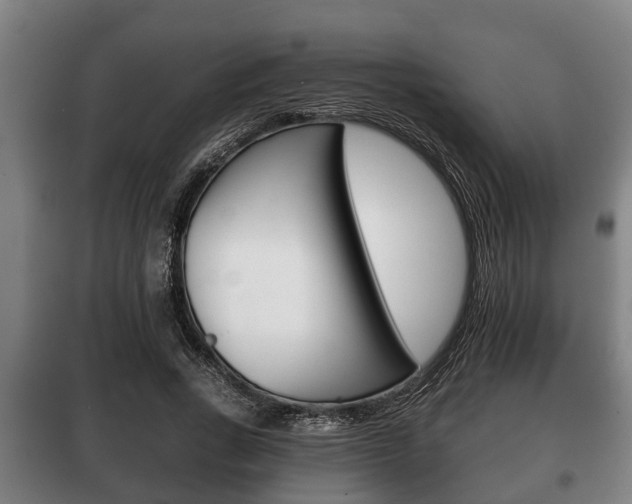 X0000100410735200806060924