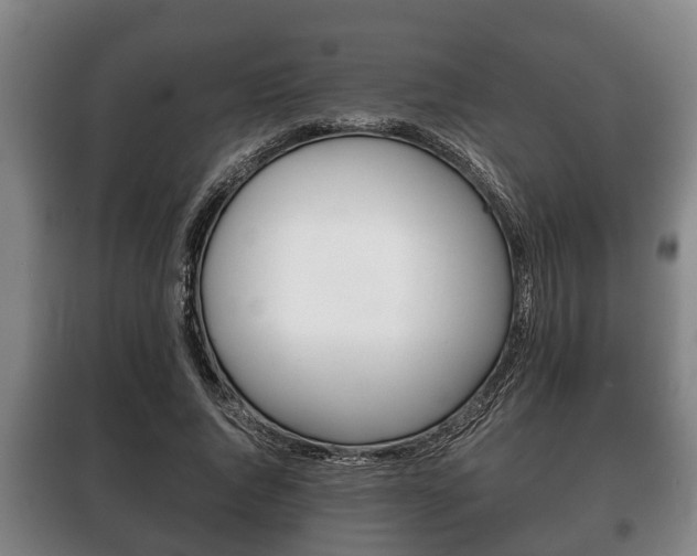 X0000100410736200806060924