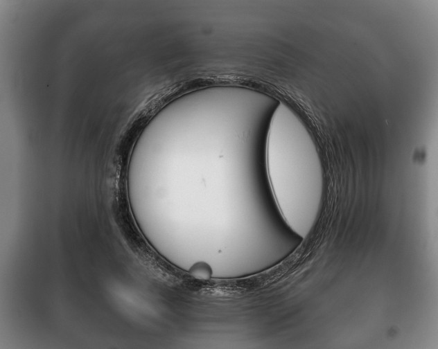 X0000100410739200806060924