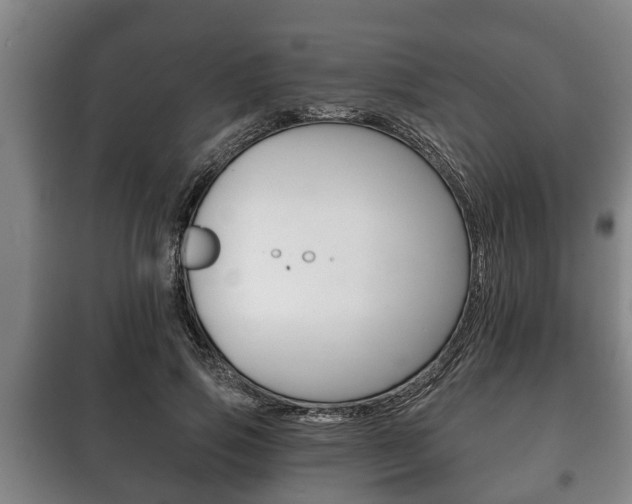 X0000100410741200806060924