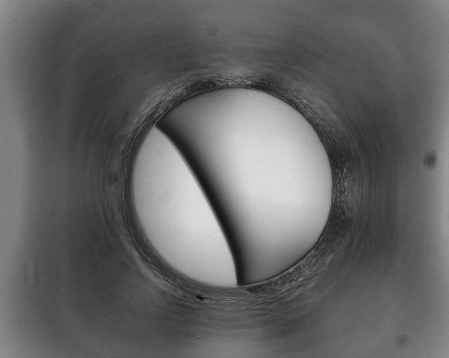 X0000100410742200806060924