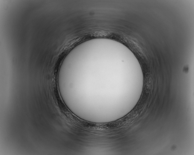 X0000100410743200806060924