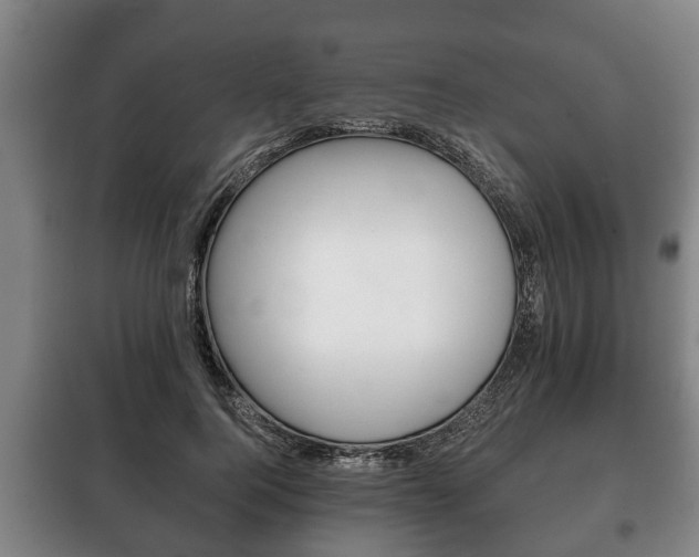 X0000100410744200806060924