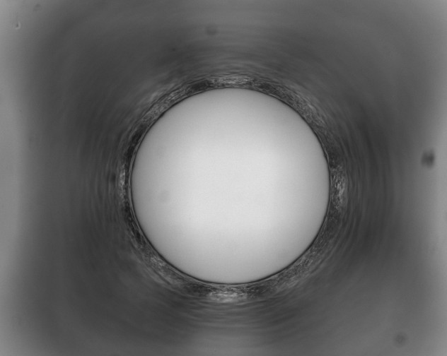 X0000100410745200806060924