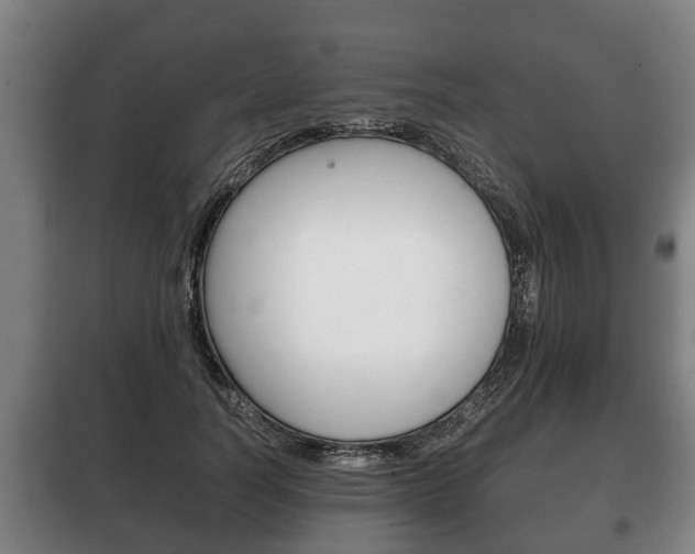 X0000100410746200806060924