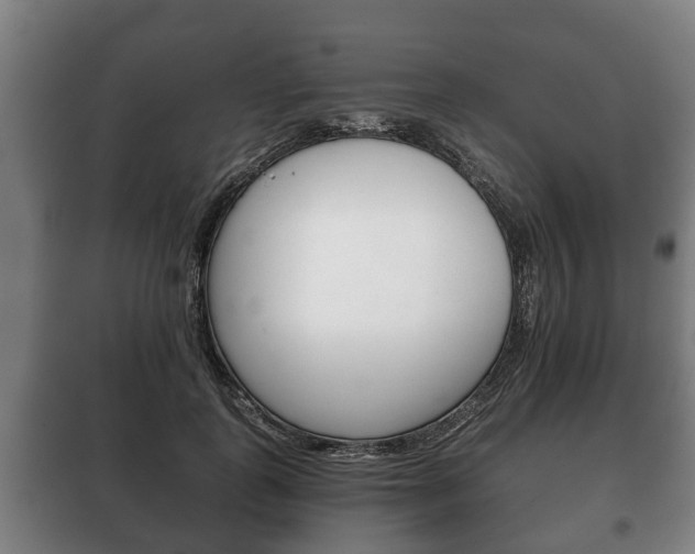 X0000100410747200806060924