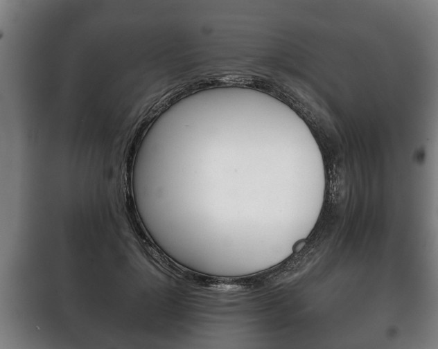 X0000100410748200806060924