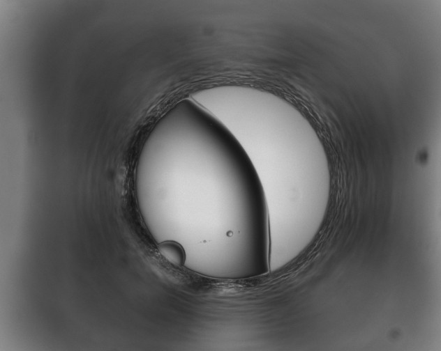 X0000100410750200806060925