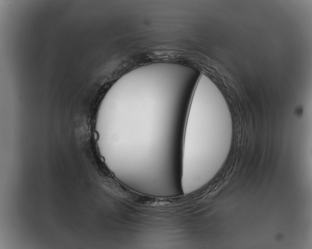 X0000100410751200806060925