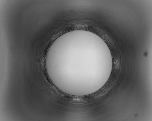 X0000100410753200806060925